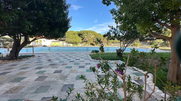 Resale - Apartments -
Guardamar del Segura - Pinomar