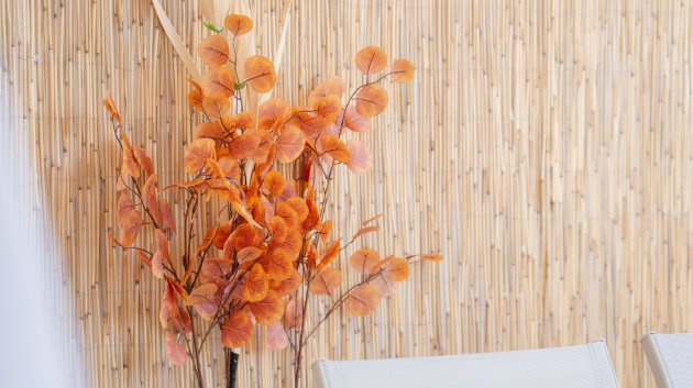 Reventa - Apartamentos -
Orihuela Costa - Punta Prima