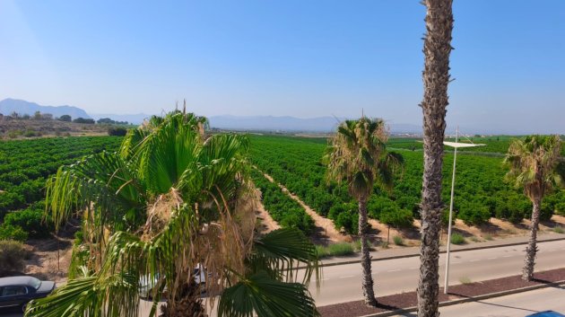 Revente - Villa -
Algorfa - La Finca Golf Resort