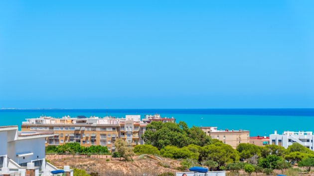 Reventa - Chalets -
Guardamar del Segura