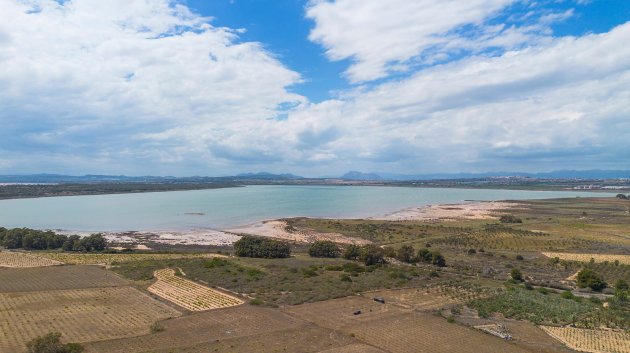 Reventa - Apartamentos -
La Mata - Playa