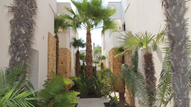 Reventa - Chalets -
Ciudad Quesada - Doña Pepa