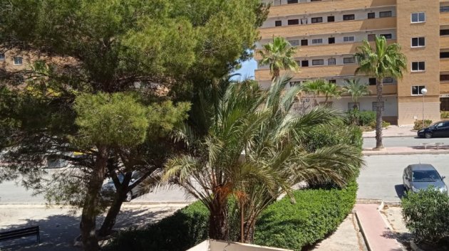 Revente - Appartements -
Guardamar del Segura - Pinomar