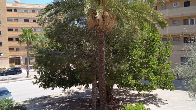 Revente - Appartements -
Guardamar del Segura - Pinomar