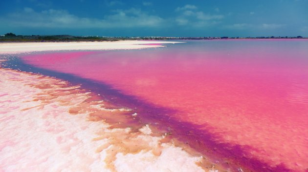 Nouvelle construction - Villa -
Los Montesinos