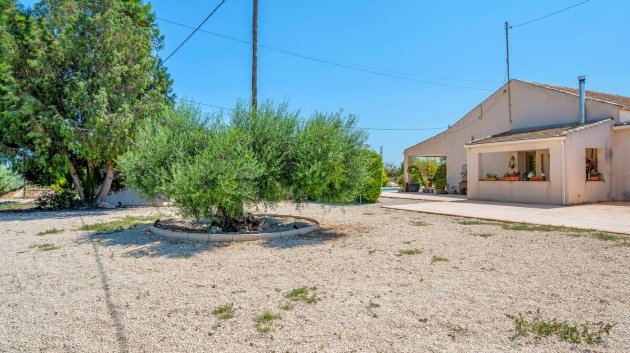 Revente - Villa -
Elche